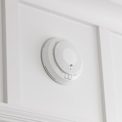 Appleton smoke detector adt